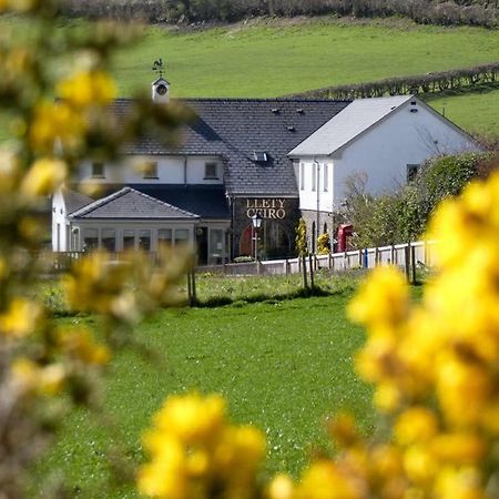 Llety Ceiro Guesthouse Aberystwyth Dış mekan fotoğraf