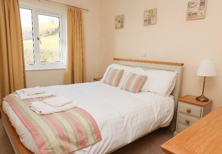 Llety Ceiro Guesthouse Aberystwyth Dış mekan fotoğraf