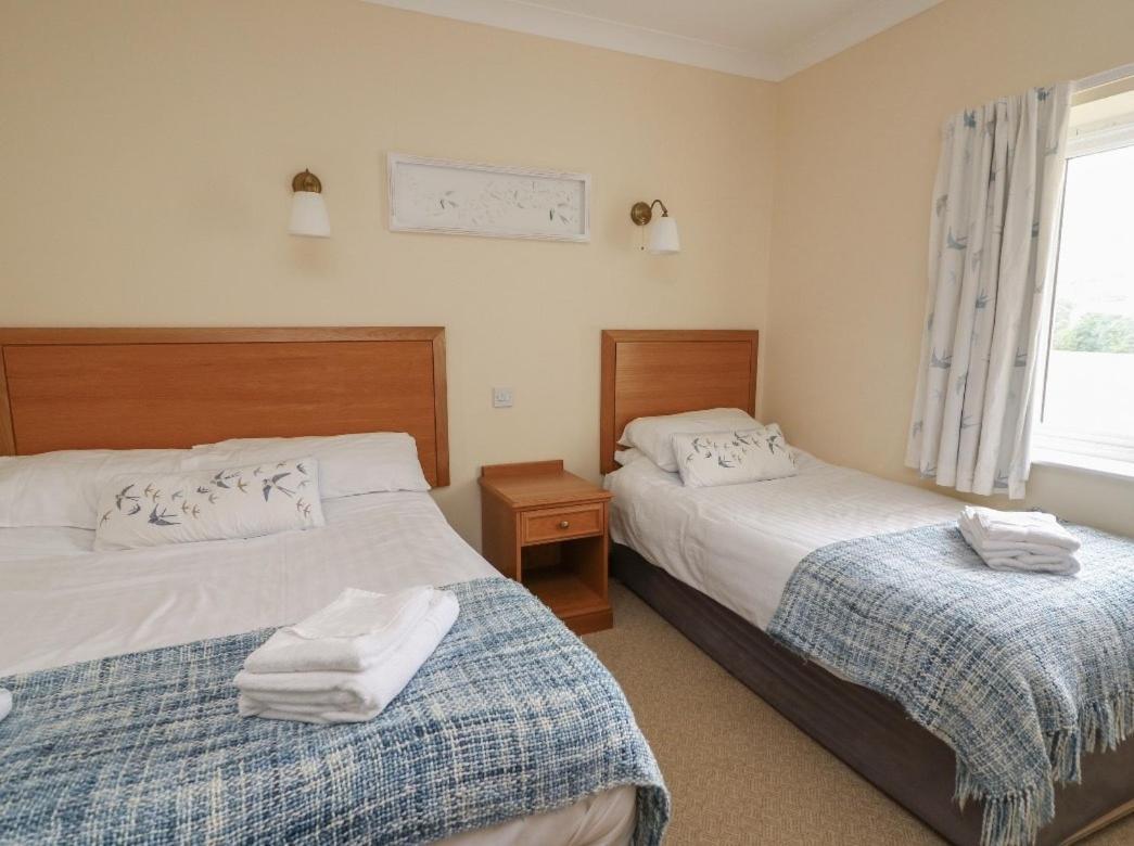 Llety Ceiro Guesthouse Aberystwyth Dış mekan fotoğraf
