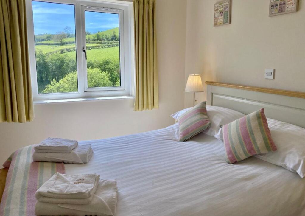 Llety Ceiro Guesthouse Aberystwyth Dış mekan fotoğraf