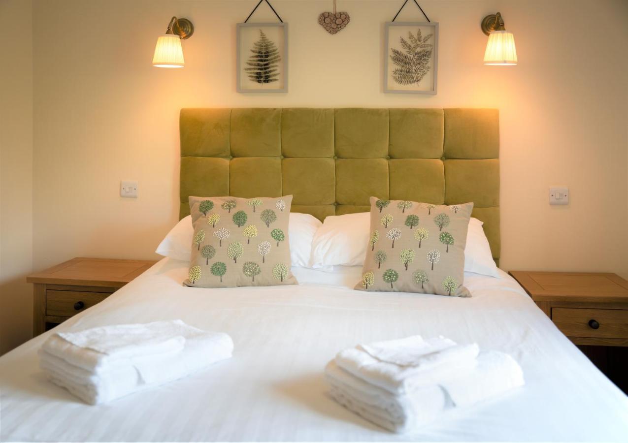 Llety Ceiro Guesthouse Aberystwyth Dış mekan fotoğraf