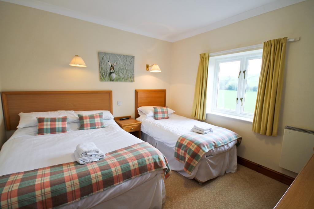 Llety Ceiro Guesthouse Aberystwyth Dış mekan fotoğraf